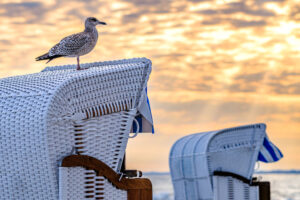 typical hooded beach chair at the baltic sea - germany