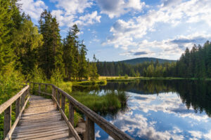 Old wooden bridge. A lake in the middle of a coniferous forest. A clear sunny day. Clouds are reflected in the lake. High quality photo. Fichtelsee, Bavaria, Germany