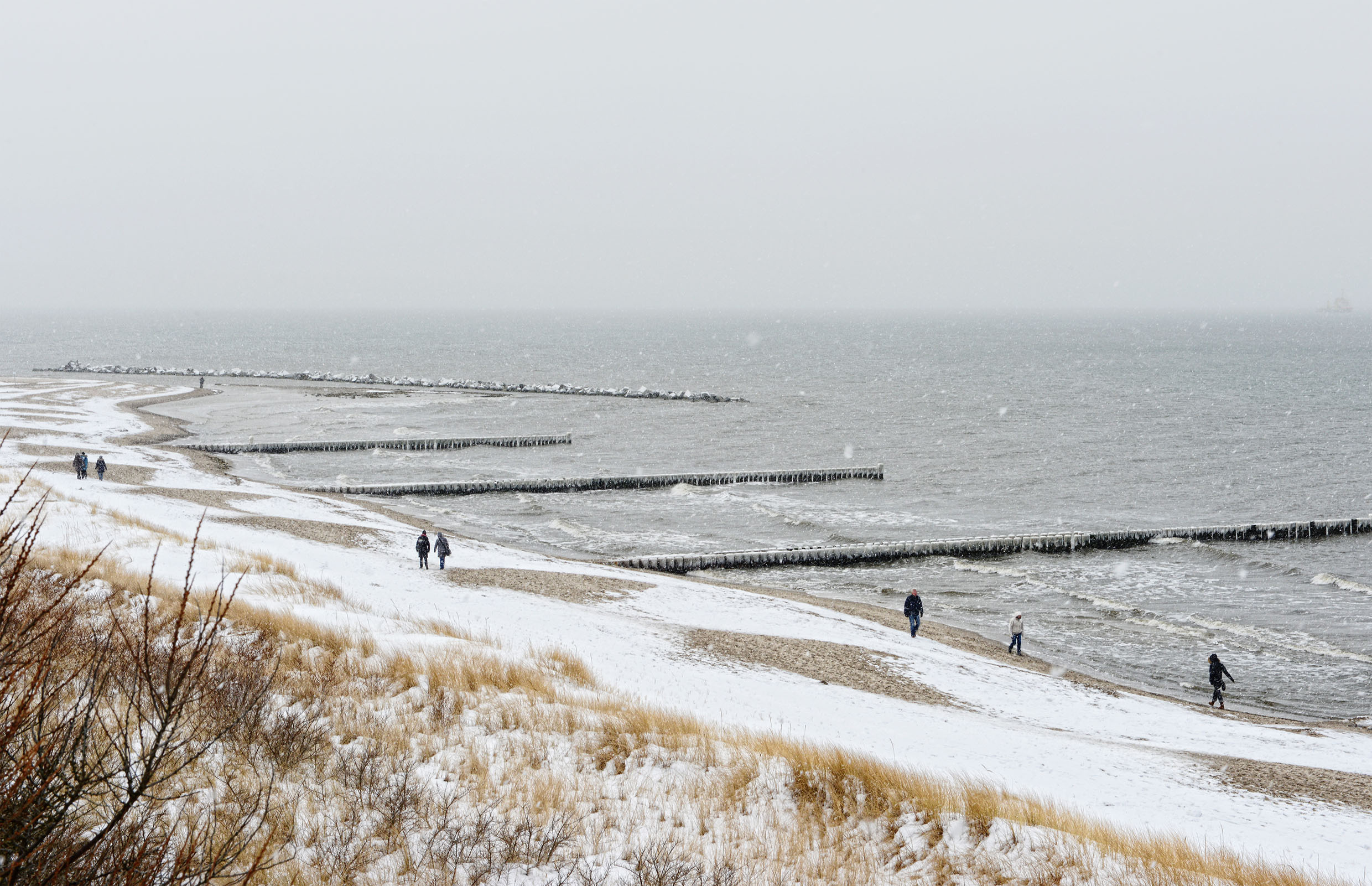 "Icicles on the groynes on the beach of the Darss (Mecklenburg-Vorpommern, Germany) at winter time."